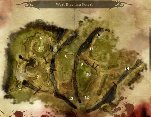 Dragon Age Origins Part 23: Forest Quests 