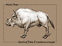 Arctic Boar