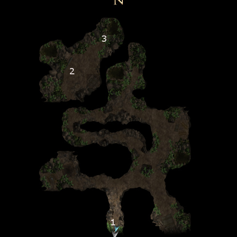 Swamp Cave