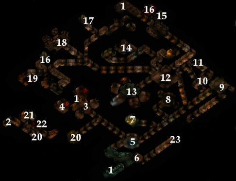 Temple dungeon level 3 map