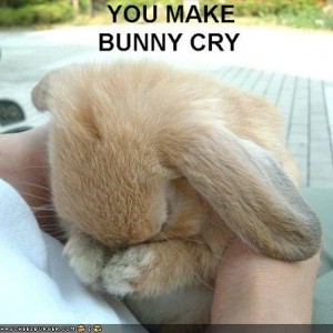 funny pictures bunny is sad