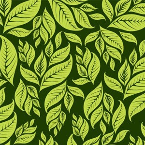 DarkGreenFloralBackground