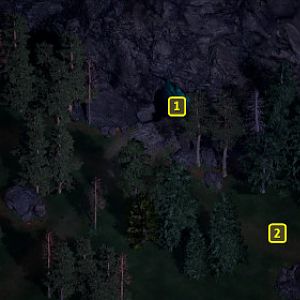 Siege of Dragonspear: Forest Clearing