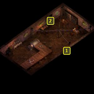 Baldur's Gate 2 EE: Lady Galvena's Festhall, Front Hall