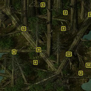 Baldur's Gate 2 EE: Forest of Tethir